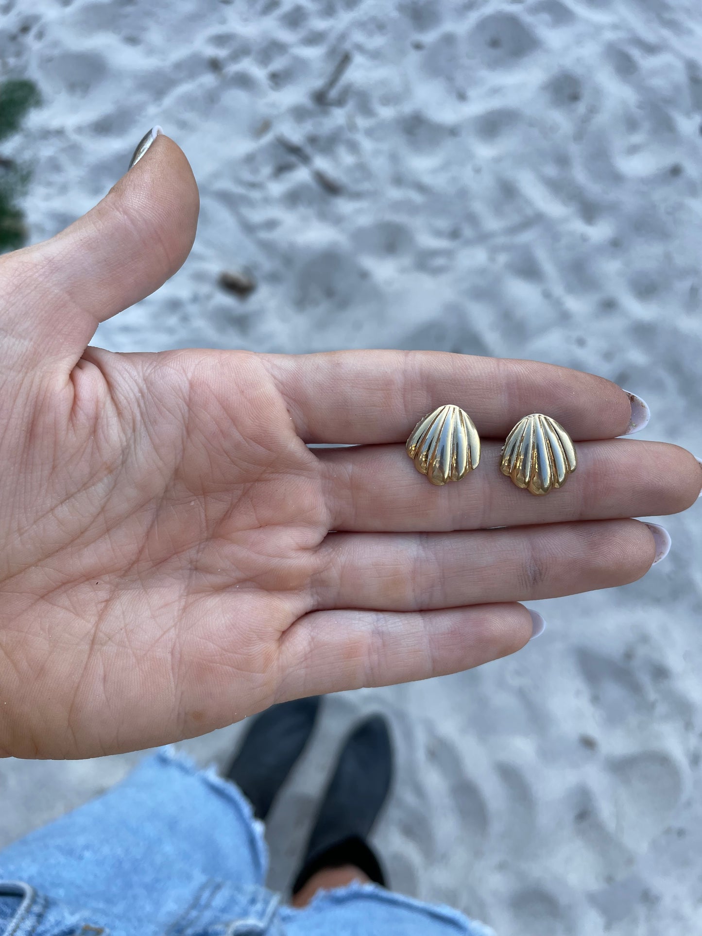 The Seashell Mini Studs